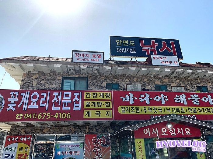 사진 3