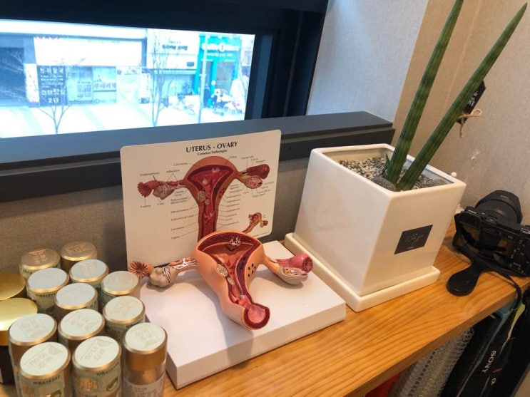  냉대하 청라질염 여한의사진료로 세심하게