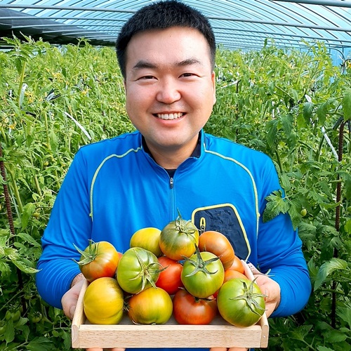 후기가 정말 좋은 (람이네)부산 대저 짭짤이 토마토2.5kg 소과 농부가직접운영 짭짜리 짭잘이 산지직송, 1box, 프리미엄짭짤이(S-2S 랜덤발송) ···