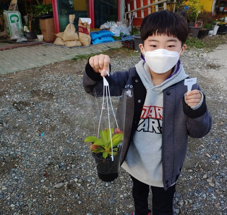  식목일, 네펜데스 델꾸왔어요