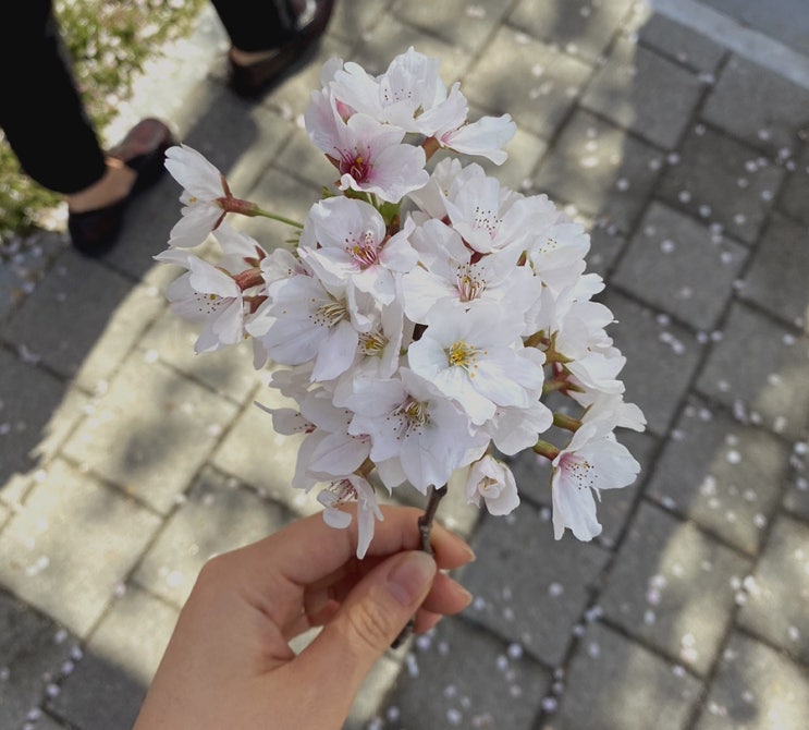  좋아하는 것 찾아보기