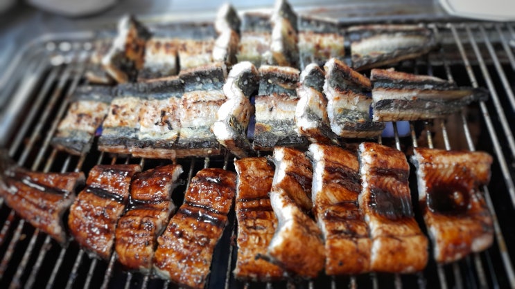 찾아가게 되는 방이동 장어 맛집 풍천민물장어