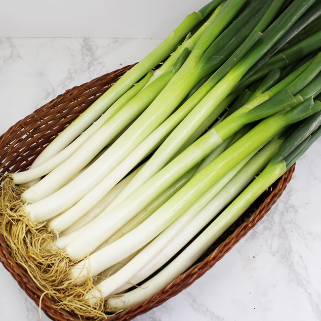 리뷰가 좋은 손질대파 시원한 음식맛을 내고 피를 맑게하는 깨끗한 대파, 1매, 1kg 좋아요 리뷰가 좋은 손질대파 시원한 음식맛을 내고 피를 맑게하는 깨끗한 대파, 1매, 1kg 좋아요