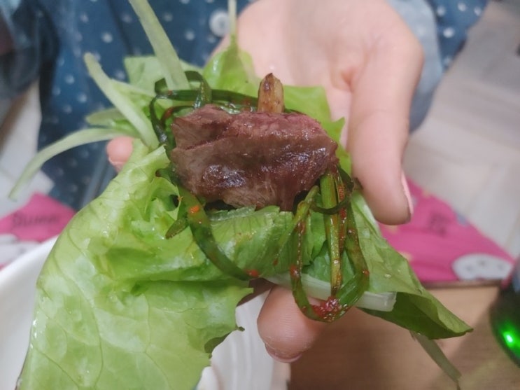  [베란다 텃밭] 상추, 파 수확해서 먹어보자ㅋㅋㅋ