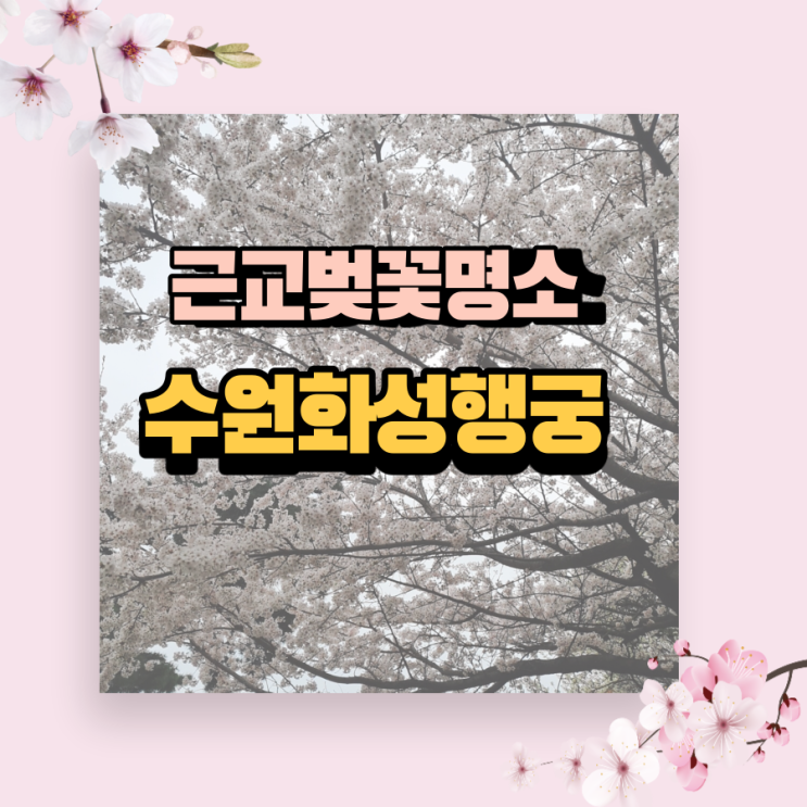  경기도 벚꽃명소 수원화성행궁 둘레길 다녀왔어요