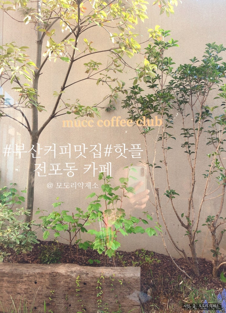  부산커피맛집 - 무크커피클럽