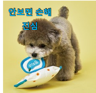  가격과 리뷰가 제일 좋은 퀄리티 좋은 강아지 애착인형 클릭 알려드릴께요~ 너무 좋습니다