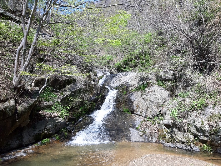 덕매산 사진 5