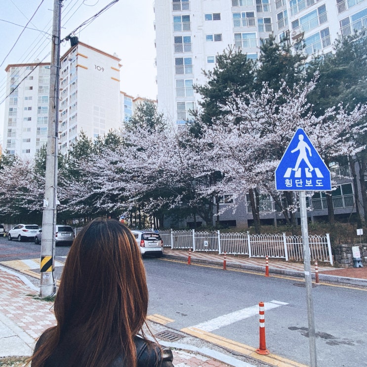  210320-23: 그렇게 봄은 온다.