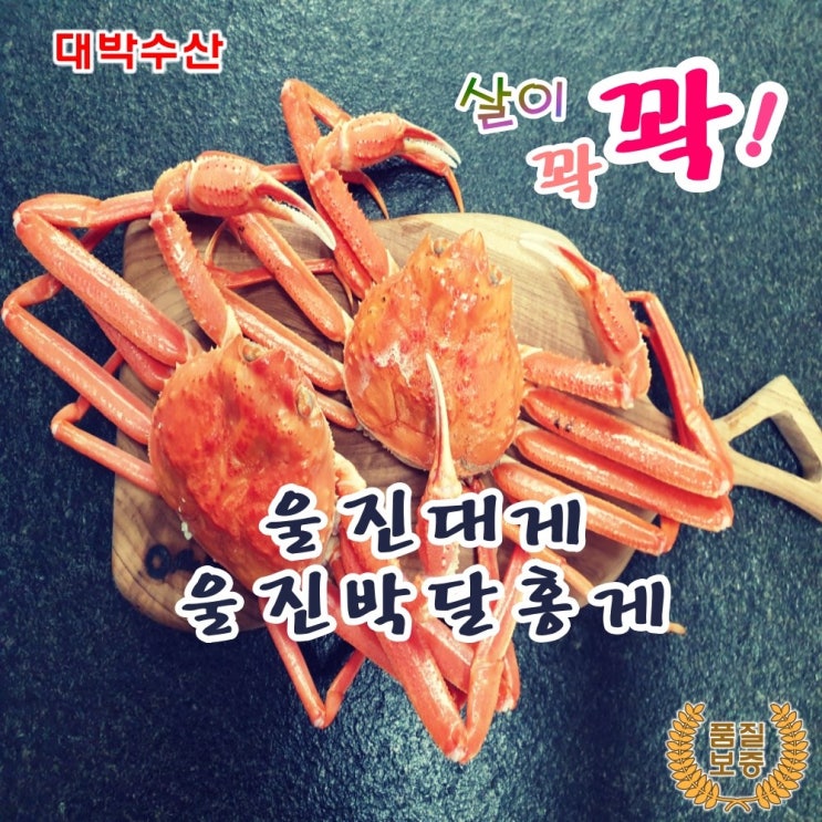 가성비 좋은 동해 홍게 산지 당일 직송 택배 영덕 울진 포항 강구항 자숙 제철 대게 대게찜 붉은대게 박달 홍게 홍게찜-품질 보증, 울진박달홍게(중) 5미/세트 좋아요