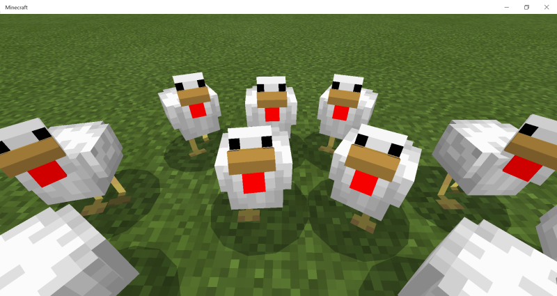 마인크래프트 닭 머리