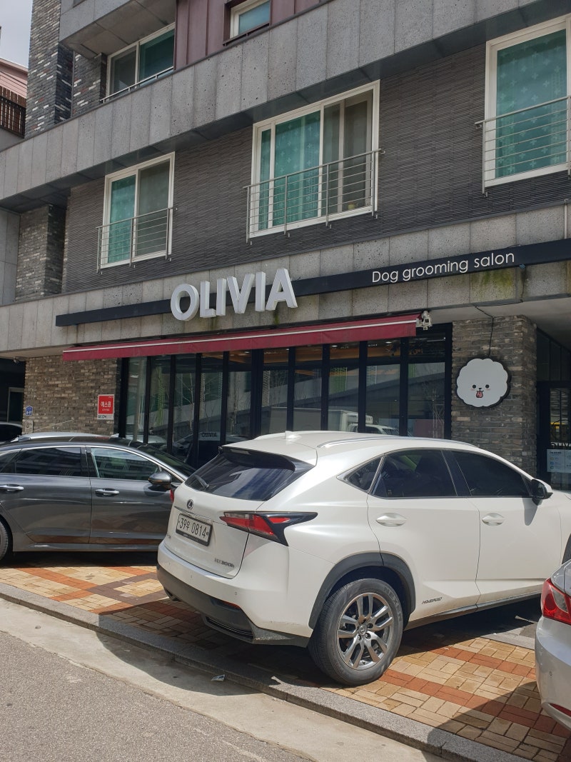 사진 3