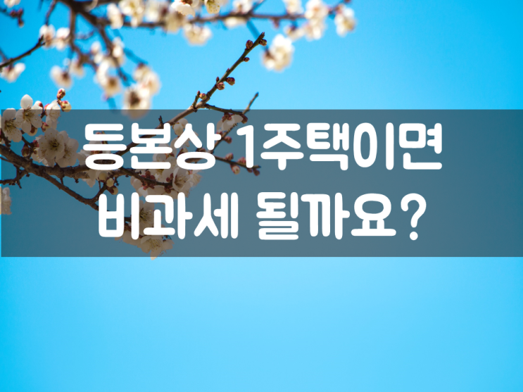  등본상 1주택이면 비과세 될까요?