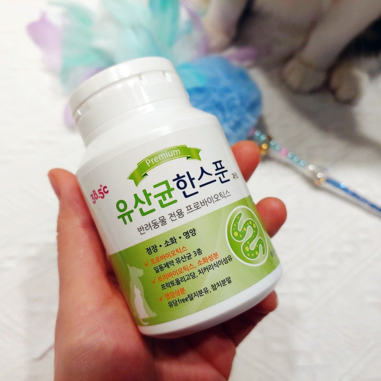 강아지 고양이 프로바이오틱스 유산균 한스푼, 고양이 변비 탈출을 위해 강아지 고양이 프로바이오틱스 유산균 한스푼, 고양이 변비 탈출을 위해