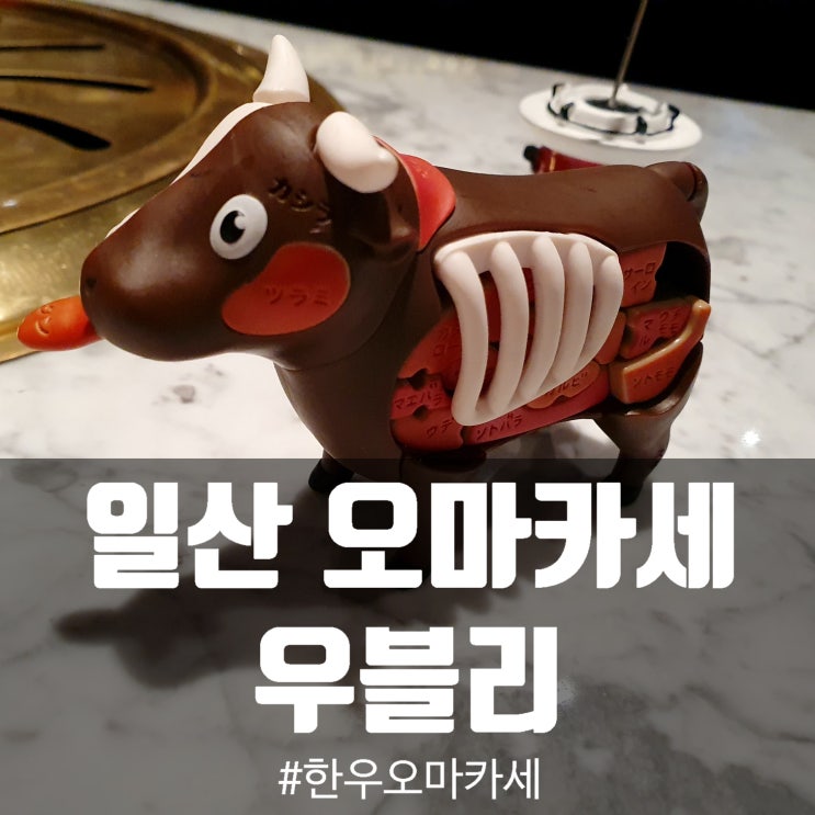 일산 오마카세 한우 가성비 좋은 우블리