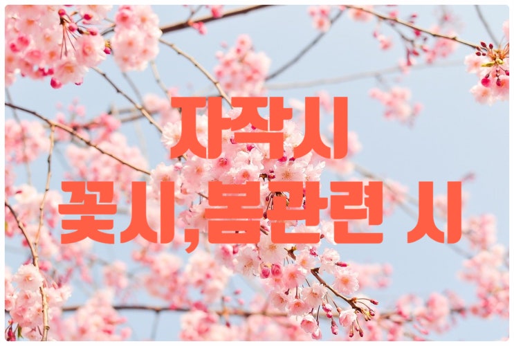  (자작시) 봄관련 꽃 시 모음