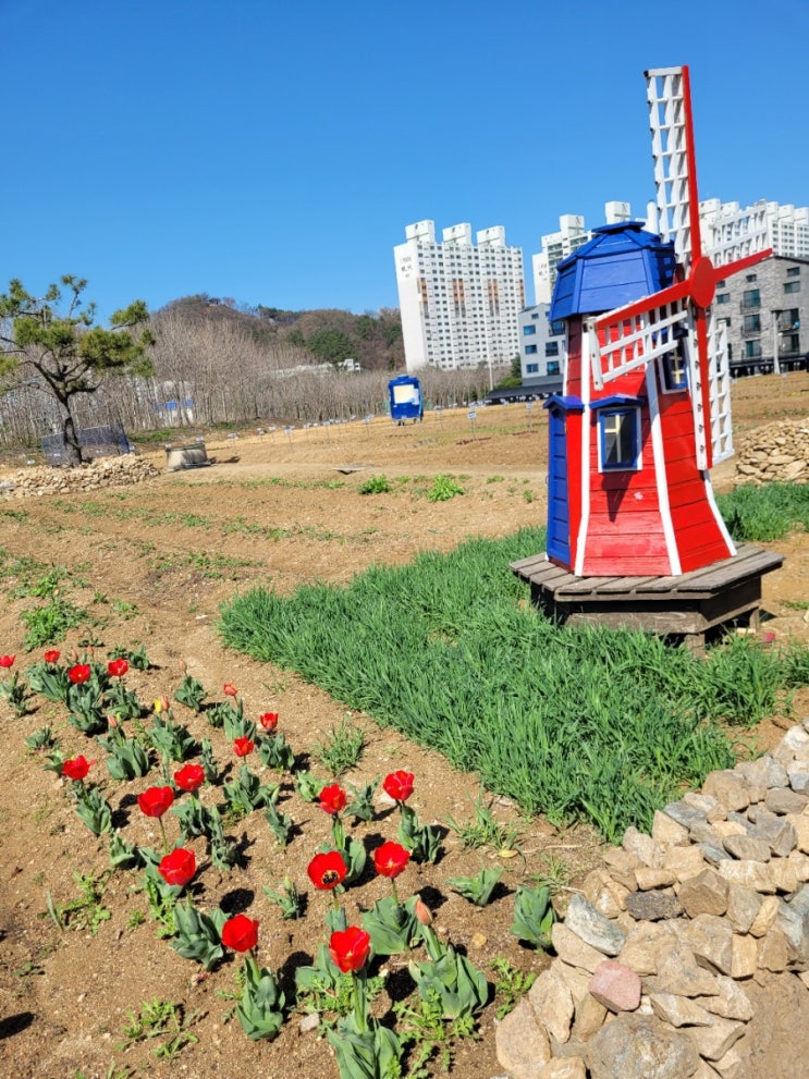  용인시민농장 일지#1