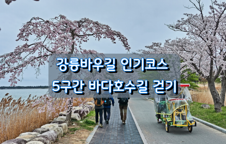 강릉바우길 인기코스 바다호수길 걷기 강릉바우길 인기코스 바다호수길 걷기