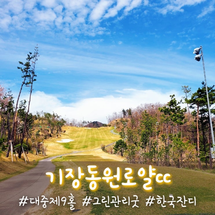  잔디상태가 좋았던 기장동원로얄cc 라운드 후기 :)