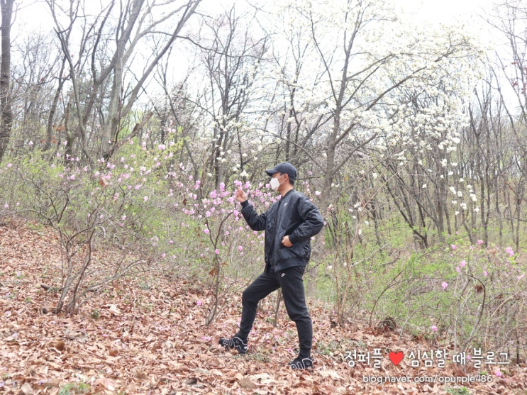  나이키 깔깔이 에어 사틴 퀄팅 자켓 너무 이뻐