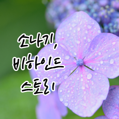  다시 읽어보는 황순원 소설 소나기, 작품 속 어휘와 결말