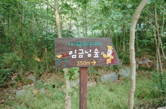  전주 아이와 가볼만한곳. 임금님숲