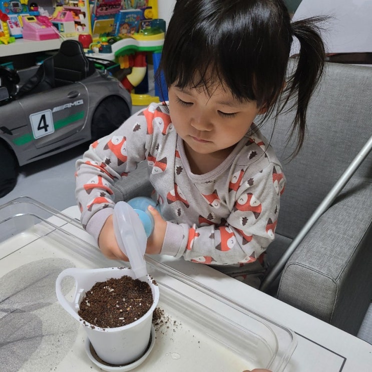 식목일 맞이 방토 심기!