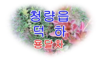 덕하용달 진하 월내 장안.