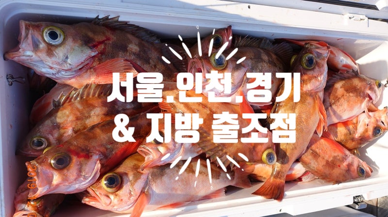 수도권과 기타지역 바다낚시 출조점 총망라.