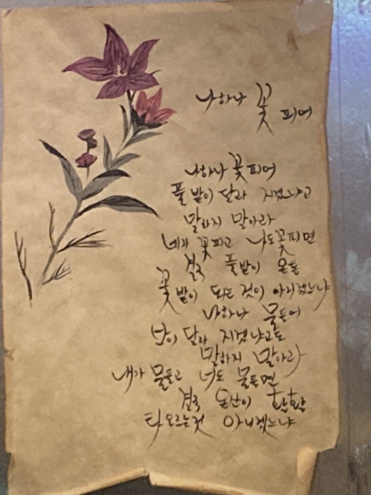  산천 | 주막산천식당 | 유천동 술집 추천 