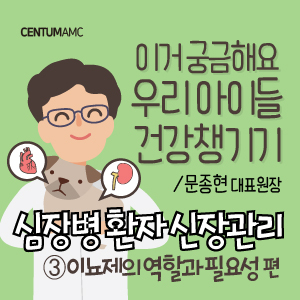  강아지 심장병 환자 신장관리 ③이뇨제의 역할과 필요성 편 (부산 노령견 심장전문 동물병원 센텀동물메디컬센터 문종현 대표원장)