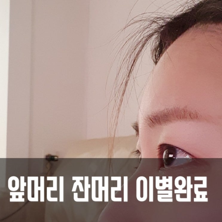  <내돈내산> 구월동 엘룩스 구월로데오점 염색, 모류교정 하고왔어요!