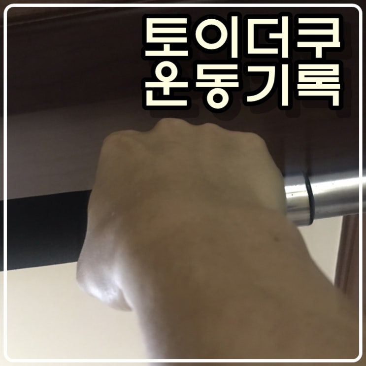 토이콜렉터 손대니의 운동기록 - 210406 토이콜렉터 손대니의 운동기록 - 210406