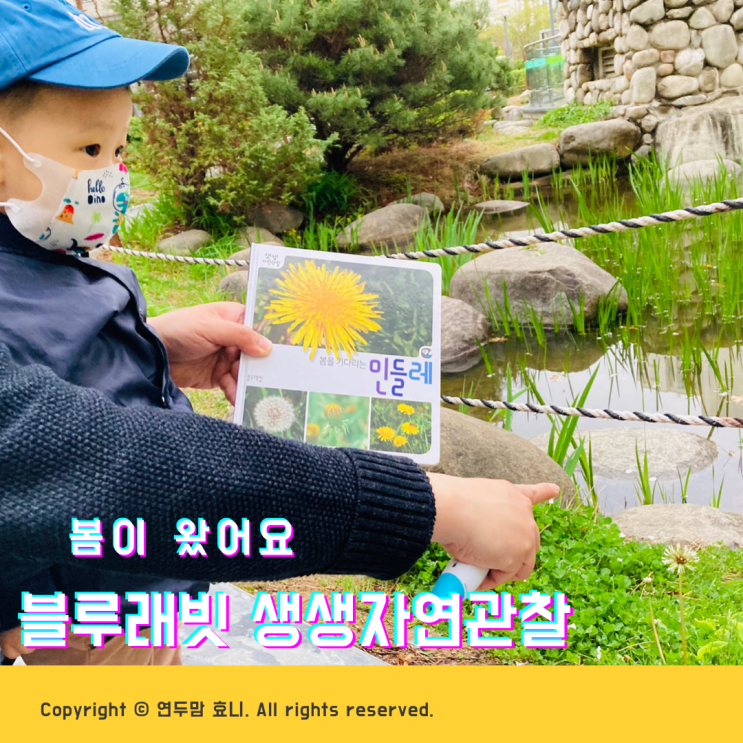 2세 유아자연관찰책 추천 블루래빗 봄이 왔어요 2세 유아자연관찰책 추천 블루래빗 봄이 왔어요