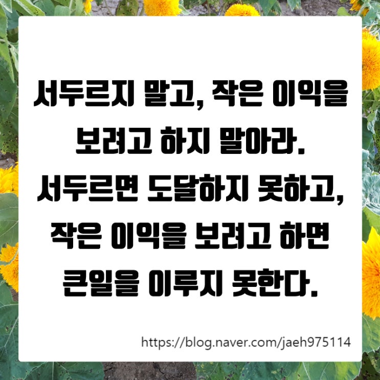  긍정적인 마인드 갖기