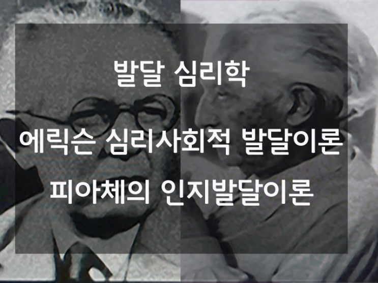  발달 심리학,  에릭슨의 발달단계와 피아제의 인지발달이론