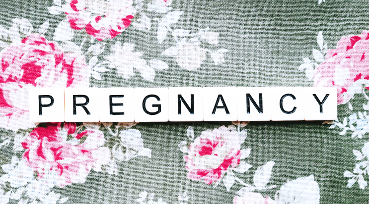 [임신 5주] 아기집, 난황, 임신확인서, 엽산, 임신 5주차 증상