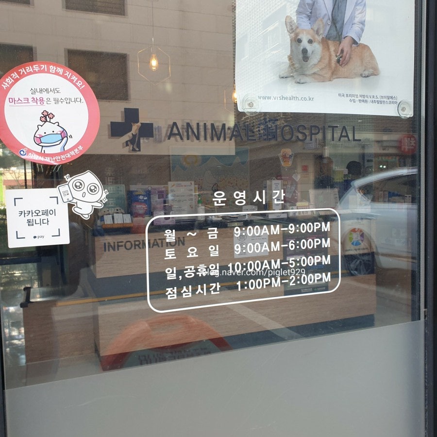 미사늘봄동물병원 사진 4