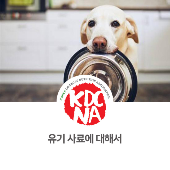  [애견수제간식창업교육/펫푸드자격증/한국반려동물영양협회/광주/순천/광양/목포/여수/펫영양사] 강아지 유기사료_774