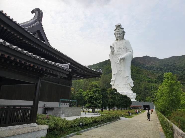  홍콩 자산사(TSZ Shan Monastery) 예약 및 가는 법