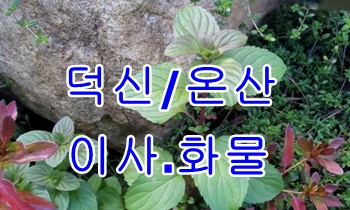  덕신용달 온산 웅촌.