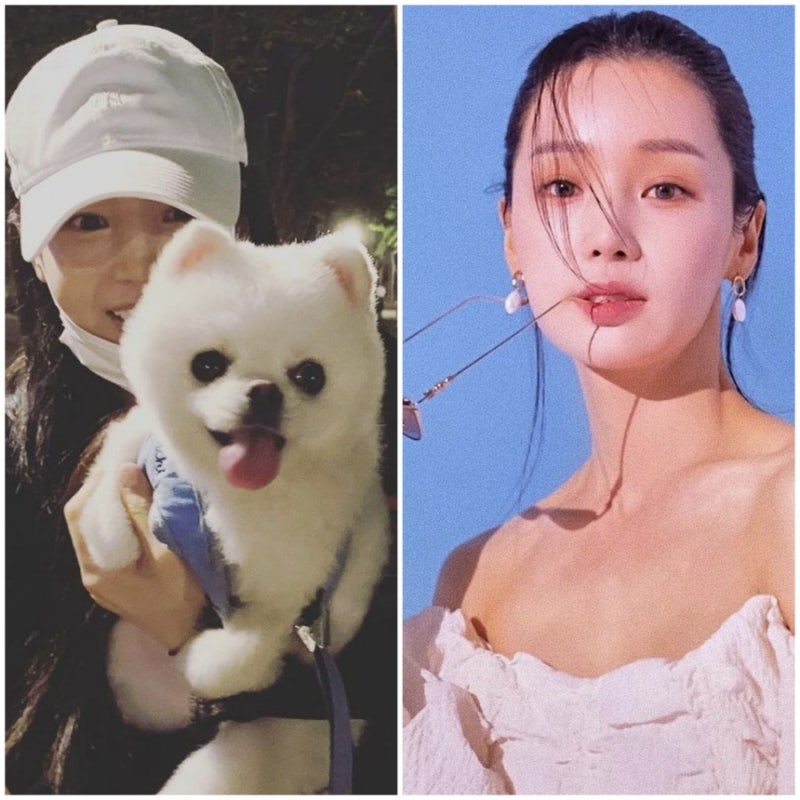 온앤오프 남규리 나이 집 위치 아파트 차 자동차 가격 리즈 철권 선수'무릎' 배재민, 나이 고....