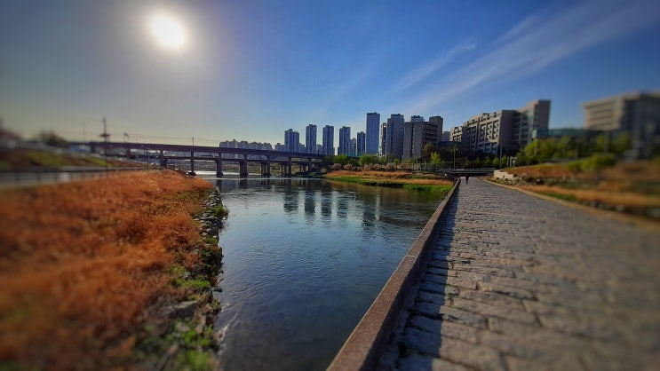 서울 한강 산책코스 (금호나들목 ~ 살곶이 다리) 강추 드립니다.
