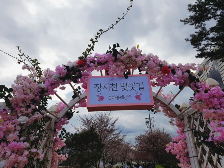  송파 문정 장지 벚꽃명소: 장지천벚꽃길 송파둘레길