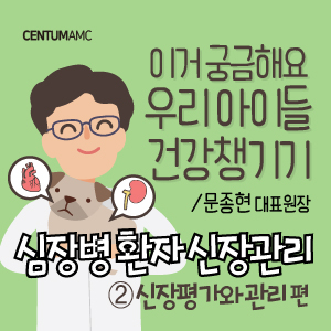  강아지 심장병 환자 신장관리 ②신장 평가와 관리 편 (부산 노령견 심장전문 동물병원 센텀동물메디컬센터 문종현 대표원장)