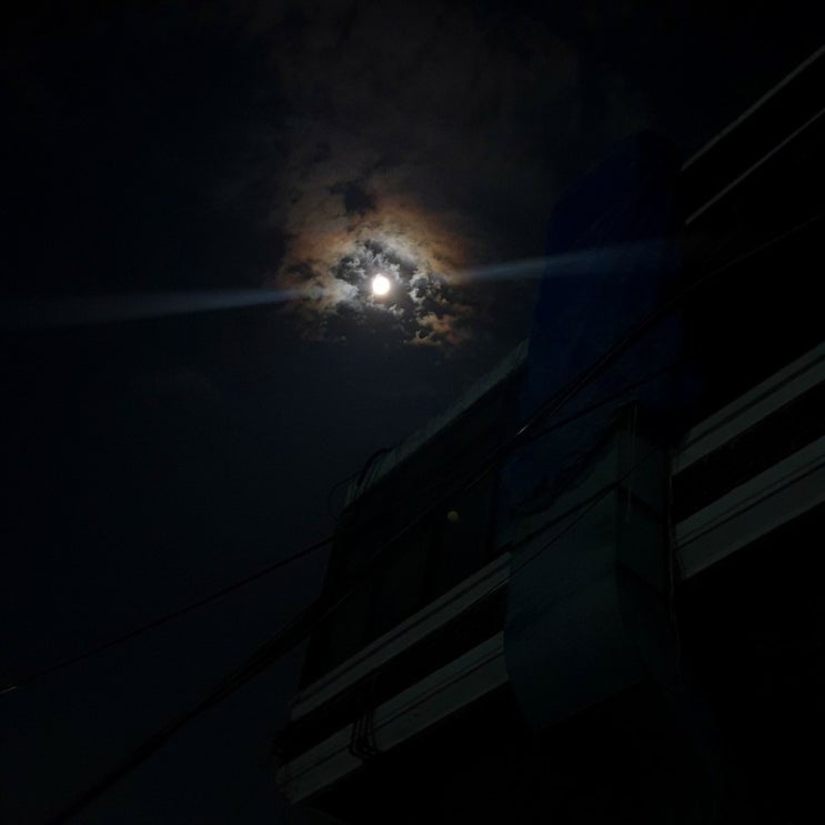  20210406불면증