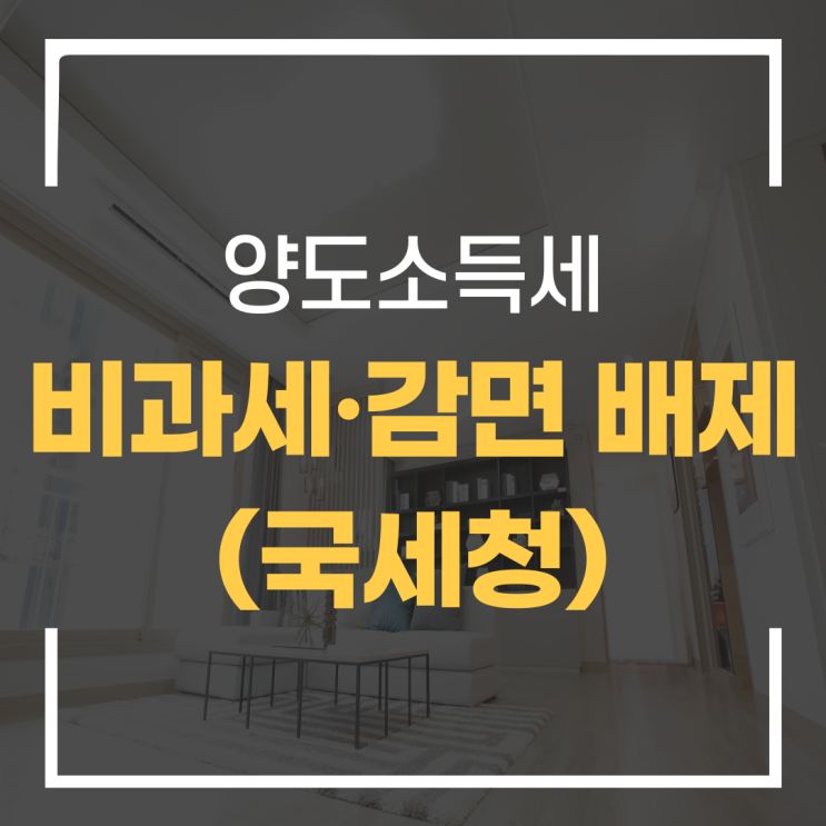  양도소득세 비과세 · 감면 배제(국세청)