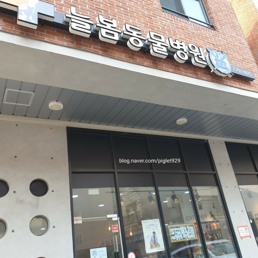 미사늘봄동물병원 사진 3