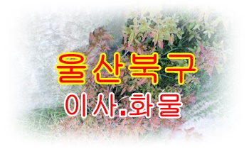 울산북구용달 호계 모화 석계.