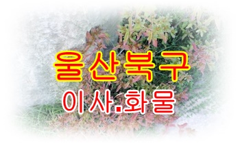 울산북구용달 호계 모화 석계.